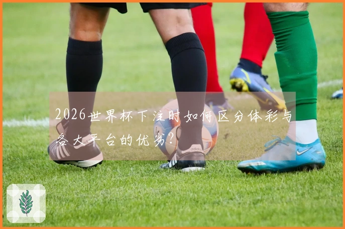 2026世界杯下注时如何区分体彩与各大平台的优劣？