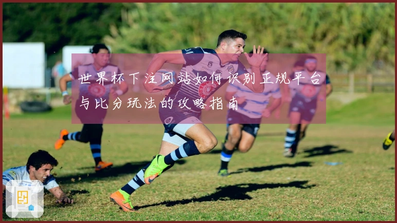 世界杯下注网站如何识别正规平台与比分玩法的攻略指南