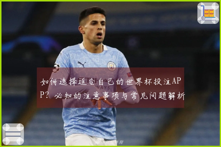 如何选择适合自己的世界杯投注APP？必知的注意事项与常见问题解析