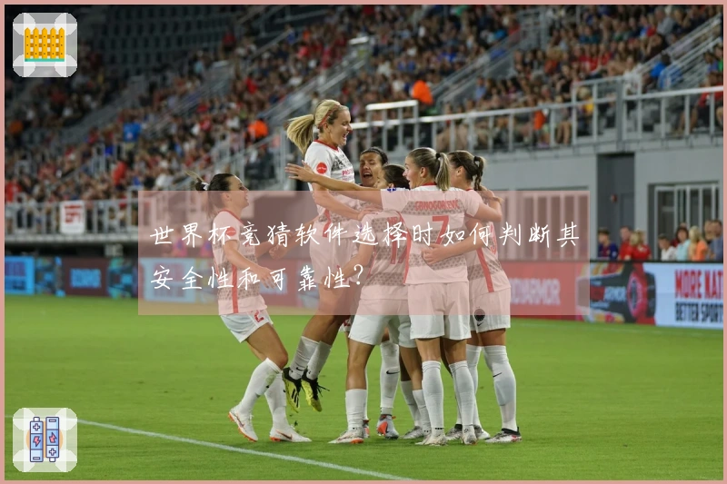 世界杯竞猜软件选择时如何判断其安全性和可靠性？