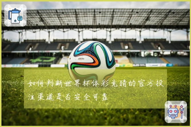 如何判断世界杯体彩竞猜的官方投注渠道是否安全可靠