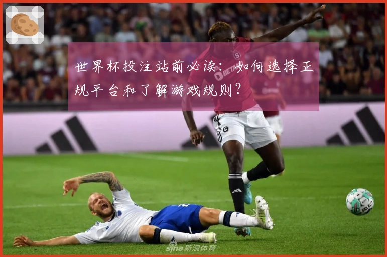 世界杯投注站前必读：如何选择正规平台和了解游戏规则？