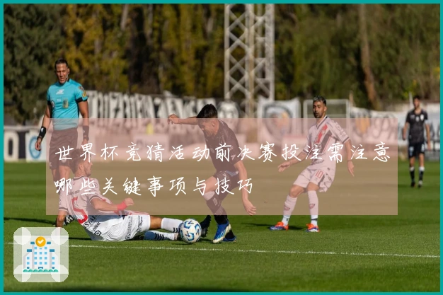 世界杯竞猜活动前决赛投注需注意哪些关键事项与技巧