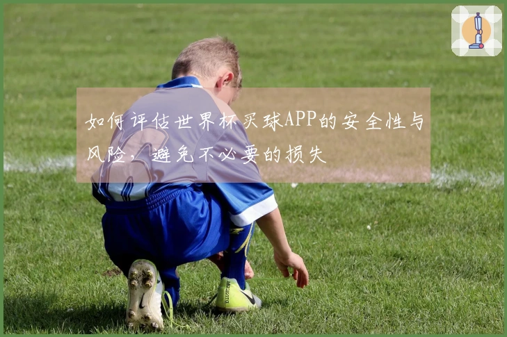 如何评估世界杯买球APP的安全性与风险，避免不必要的损失