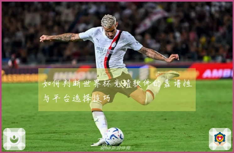如何判断世界杯竞猜软件的靠谱性与平台选择技巧