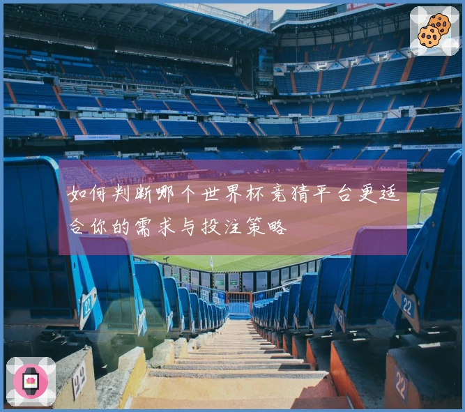 如何判断哪个世界杯竞猜平台更适合你的需求与投注策略