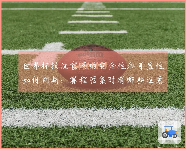 世界杯投注官网的安全性和可靠性如何判断，赛程密集时有哪些注意事项？