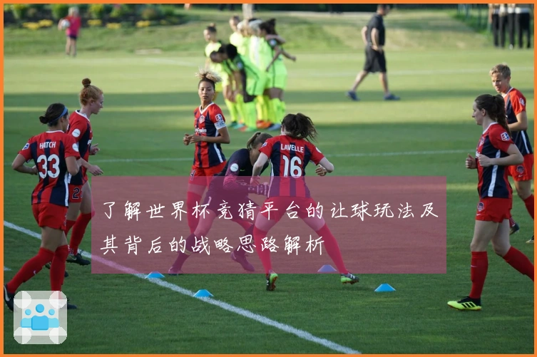 了解世界杯竞猜平台的让球玩法及其背后的战略思路解析