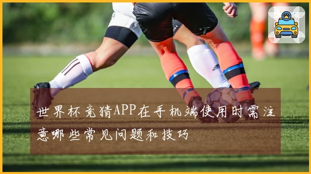 世界杯竞猜APP在手机端使用时需注意哪些常见问题和技巧