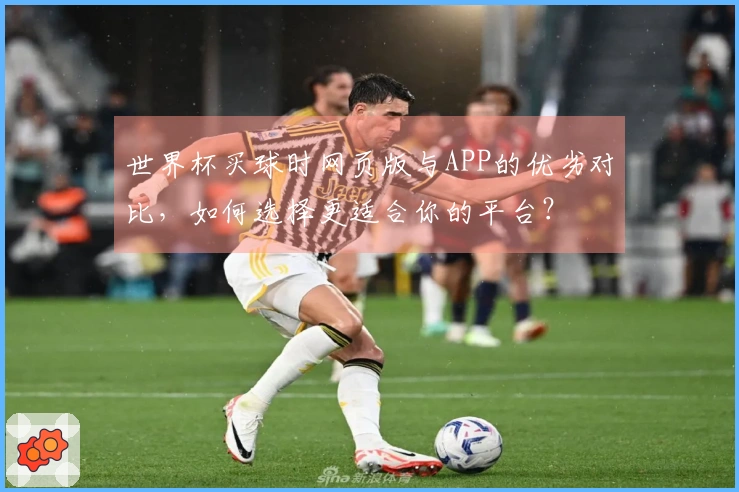 世界杯买球时网页版与APP的优劣对比，如何选择更适合你的平台？