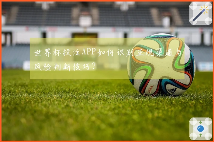 世界杯投注APP如何识别正规渠道与风险判断技巧？