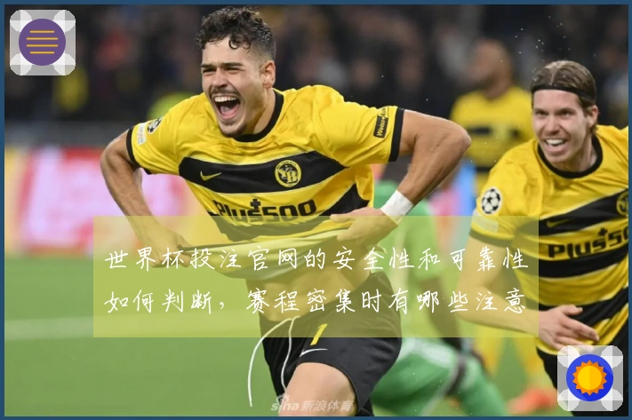 世界杯投注官网的安全性和可靠性如何判断，赛程密集时有哪些注意事项？